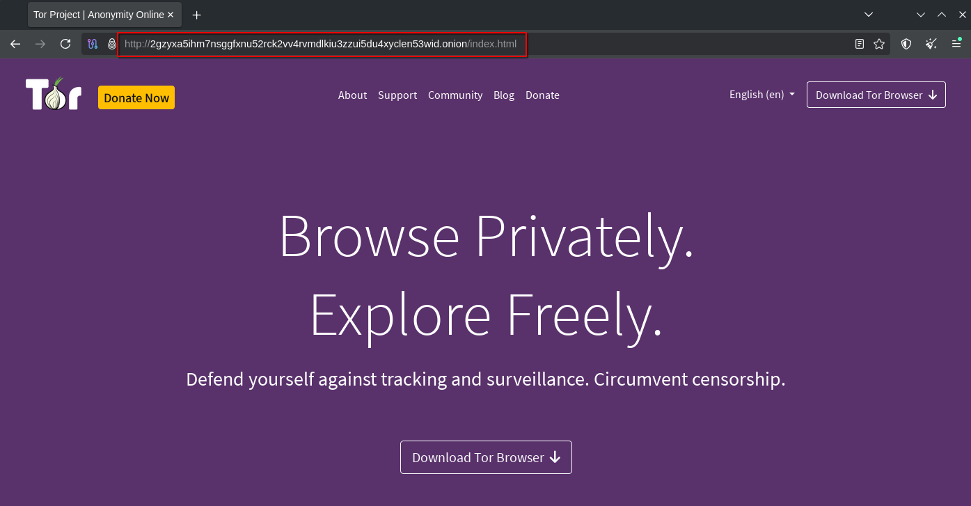 The same site now loaded at its official .onion address