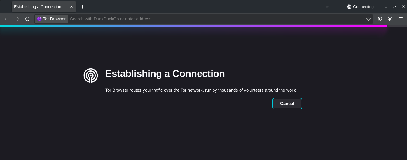 Tor Browser&rsquo;s &ldquo;Establishing a Connection&rdquo; first-run screen